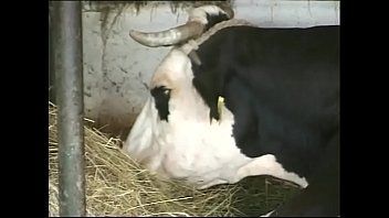 play Xxx en el país en establos con vacas con granjeros era el dueño
